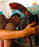 85dc705d7aa157ab60968a297db1df6f0bfe8bebb7d05203d4d809578cc146eb